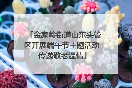 金家岭街道山东头管区开展端午节主题活动 传递敬老温情
