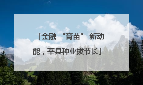 金融 “育苗” 新动能，莘县种业拔节长