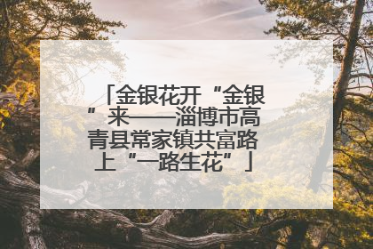 金银花开“金银”来——淄博市高青县常家镇共富路上“一路生花”