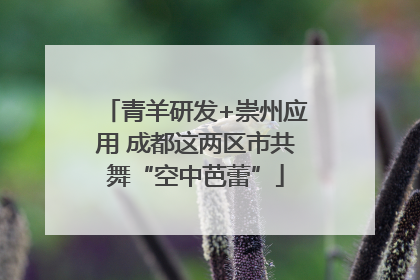 青羊研发+崇州应用 成都这两区市共舞“空中芭蕾”