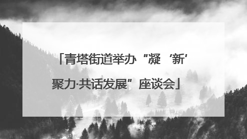青塔街道举办“凝‘新’聚力·共话发展”座谈会