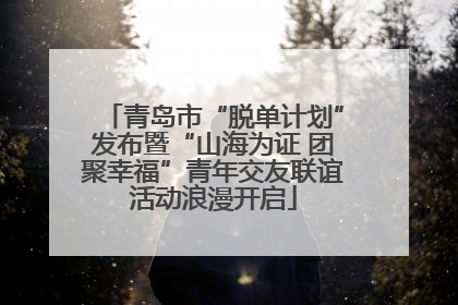 青岛市“脱单计划”发布暨“山海为证 团聚幸福”青年交友联谊活动浪漫开启