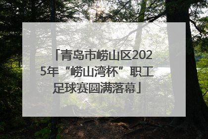 青岛市崂山区2025年“崂山湾杯”职工足球赛圆满落幕
