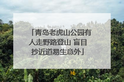 青岛老虎山公园有人走野路登山 盲目抄近道易生意外