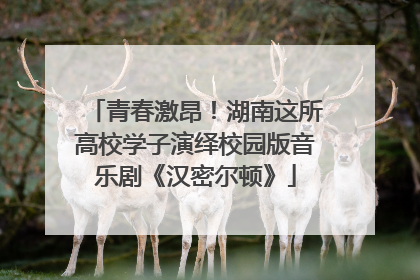 青春激昂！湖南这所高校学子演绎校园版音乐剧《汉密尔顿》