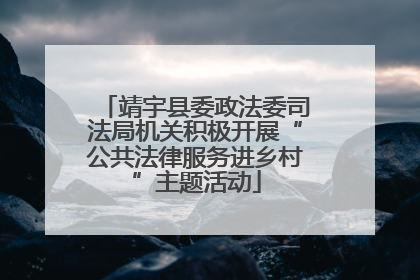 靖宇县委政法委司法局机关积极开展“公共法律服务进乡村”主题活动