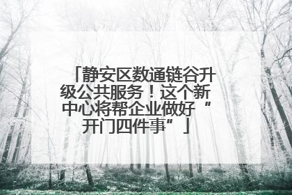 静安区数通链谷升级公共服务！这个新中心将帮企业做好“开门四件事”