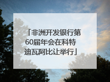 非洲开发银行第60届年会在科特迪瓦阿比让举行