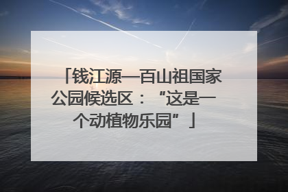钱江源—百山祖国家公园候选区：“这是一个动植物乐园”