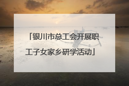 银川市总工会开展职工子女家乡研学活动