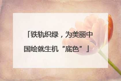 铁轨织绿，为美丽中国绘就生机“底色”