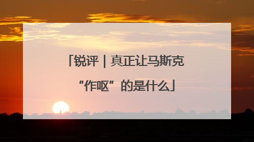 锐评｜真正让马斯克“作呕”的是什么