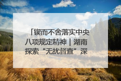 锲而不舍落实中央八项规定精神｜湖南探索“无扰督查”深化基层减负