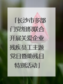长沙市多部门党组织联合开展关爱企业残疾员工主题党日暨助残日特别活动