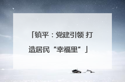 镇平：党建引领 打造居民“幸福里”