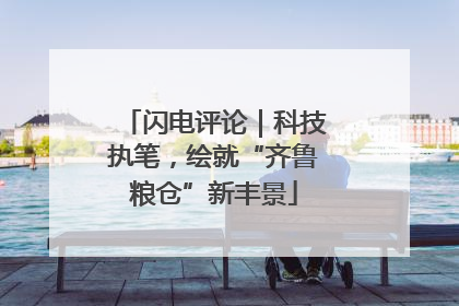 闪电评论｜科技执笔，绘就“齐鲁粮仓”新丰景