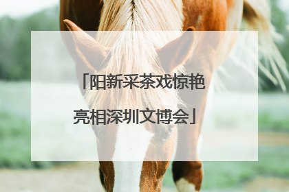 阳新采茶戏惊艳亮相深圳文博会