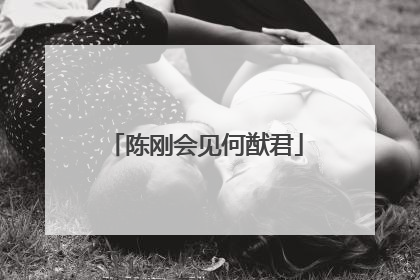 陈刚会见何猷君