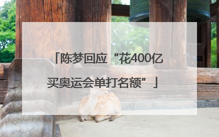 陈梦回应“花400亿买奥运会单打名额”