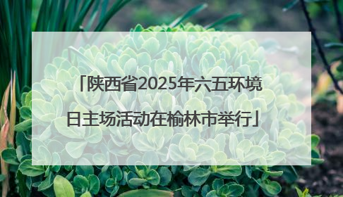 陕西省2025年六五环境日主场活动在榆林市举行
