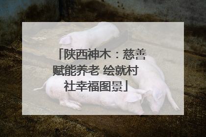 陕西神木：慈善赋能养老 绘就村社幸福图景