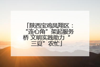 陕西宝鸡凤翔区：“连心角”架起服务桥 文明实践助力“三夏”农忙