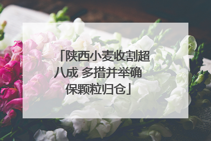 陕西小麦收割超八成 多措并举确保颗粒归仓