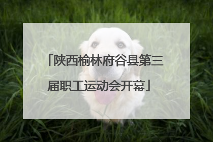 陕西榆林府谷县第三届职工运动会开幕
