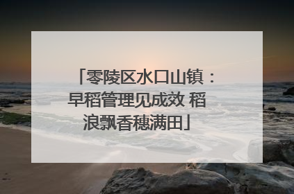 零陵区水口山镇：早稻管理见成效 稻浪飘香穗满田