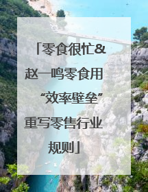 零食很忙&赵一鸣零食用“效率壁垒”重写零售行业规则