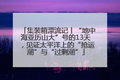 集装箱漂流记丨“地中海亚历山大”号的13天，见证太平洋上的“抢运潮”与“过剩潮”