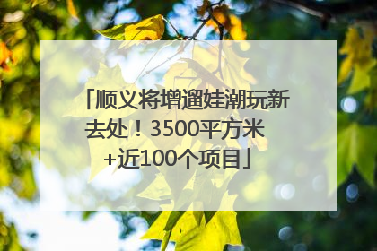 顺义将增遛娃潮玩新去处！3500平方米+近100个项目