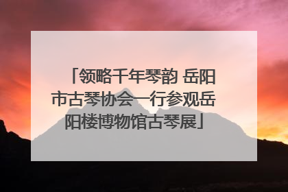 领略千年琴韵 岳阳市古琴协会一行参观岳阳楼博物馆古琴展