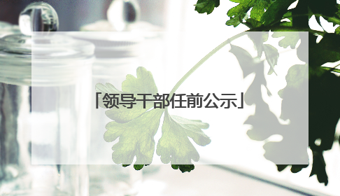 领导干部任前公示