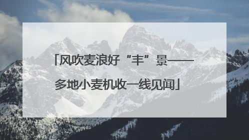 风吹麦浪好“丰”景——多地小麦机收一线见闻