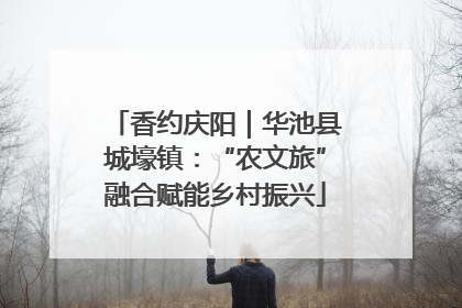 香约庆阳｜华池县城壕镇：“农文旅”融合赋能乡村振兴