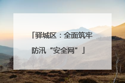 驿城区：全面筑牢防汛“安全网”
