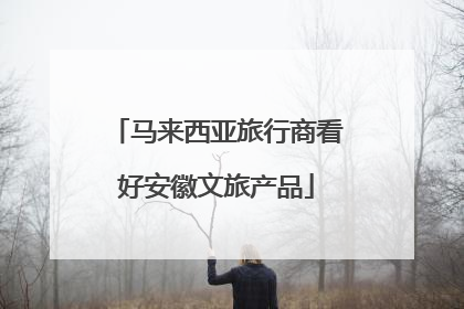 马来西亚旅行商看好安徽文旅产品