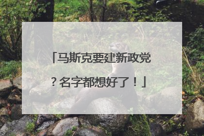 马斯克要建新政党？名字都想好了！