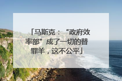 马斯克：“政府效率部”成了一切的替罪羊，这不公平