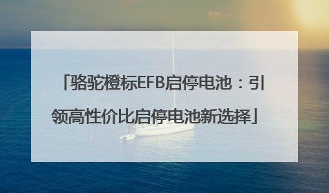 骆驼橙标EFB启停电池：引领高性价比启停电池新选择