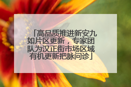高品质推进新安九如片区更新，专家团队为汉正街市场区域有机更新把脉问诊