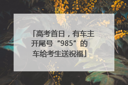 高考首日，有车主开尾号“985”的车给考生送祝福