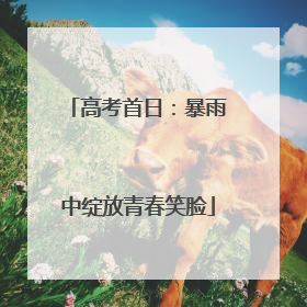 高考首日：暴雨中绽放青春笑脸