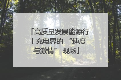 高质量发展能源行丨充电界的 “速度与激情” 现场