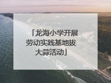 龙海小学开展劳动实践基地拔大蒜活动