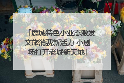 鹿城特色小业态激发文旅消费新活力 小剧场打开老城新天地