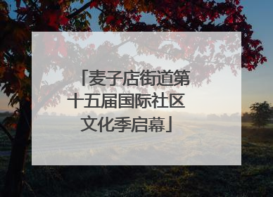 麦子店街道第十五届国际社区文化季启幕