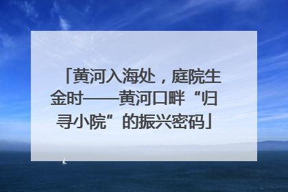黄河入海处，庭院生金时——黄河口畔“归寻小院”的振兴密码
