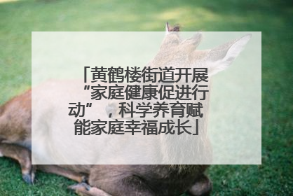 黄鹤楼街道开展“家庭健康促进行动”，科学养育赋能家庭幸福成长